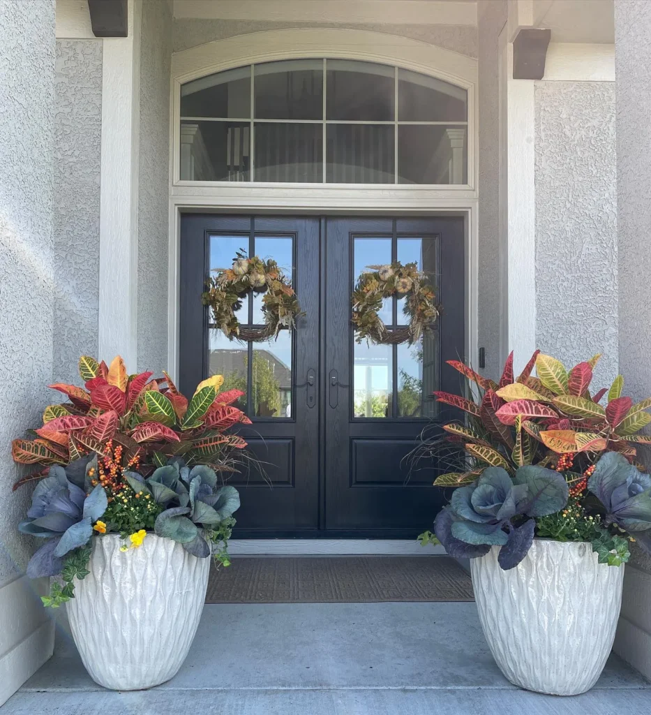 Croton Plant Care in Outdoor Settings