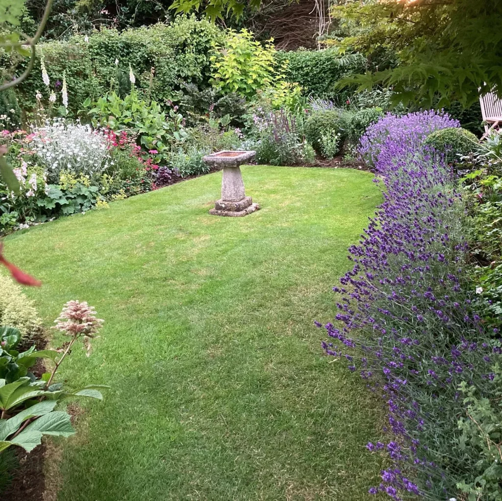 How to Plant a Lavender Hedge (& 12 Reasons Why You Should) 6
