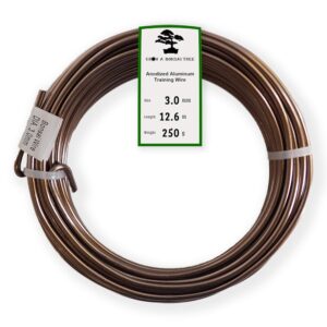 Anodized Aluminum 3.0mm Bonsai Training Wire 250g Large Roll (40 feet) - Choose Your Size and Color (3.0mm, Brown)