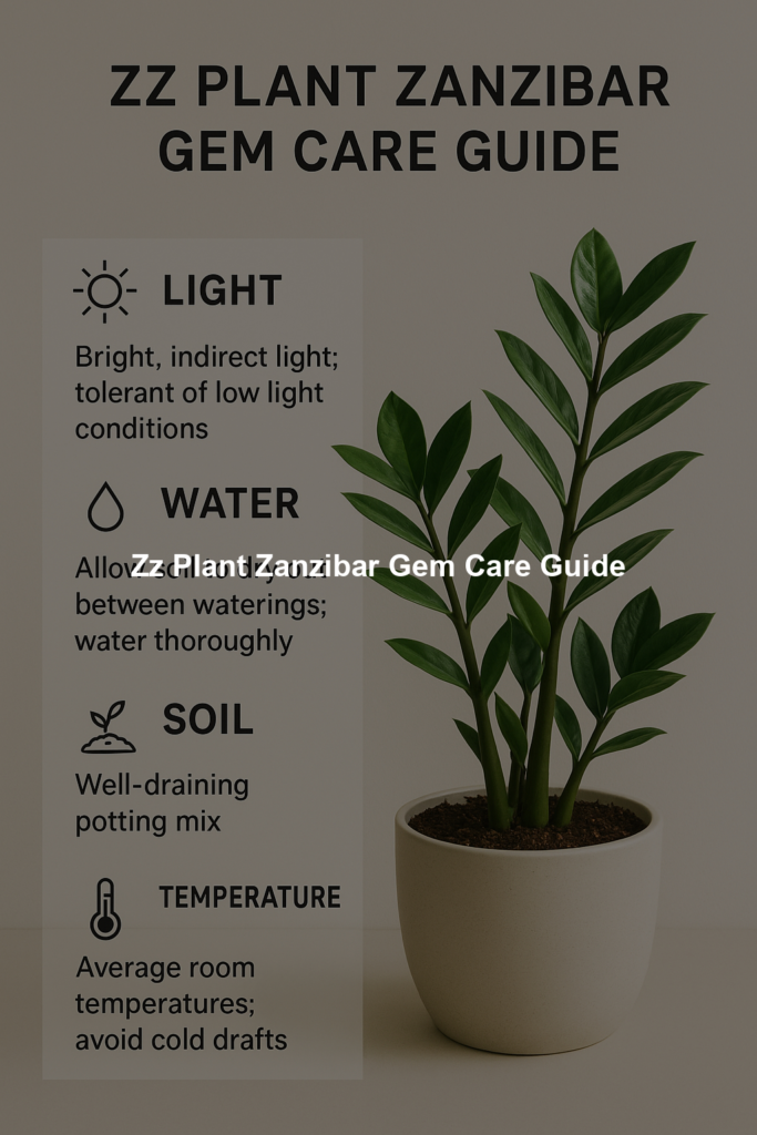 Zz Plant Zanzibar Gem Care Guide
