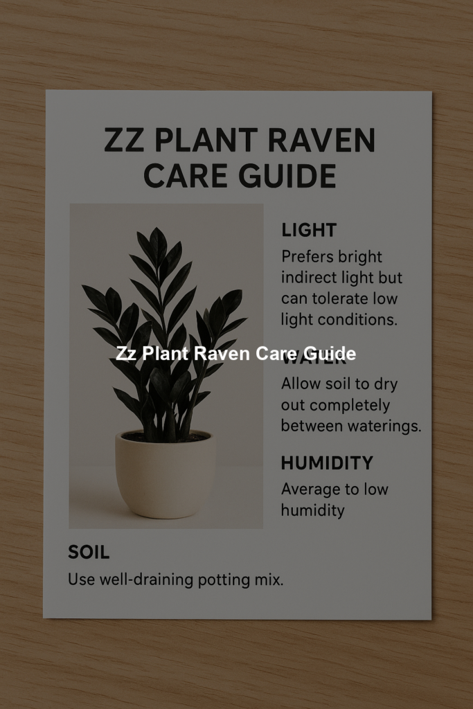 698eebf150980 | Bonsaimery.com Zz Plant Raven Care Guide