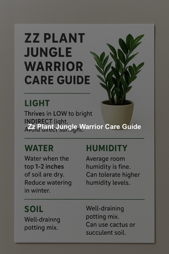698eec5f90923 | Bonsaimery.com Zz Plant Jungle Warrior Care Guide