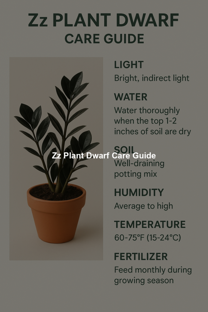 698eed6dddf37 | Bonsaimery.com Zz Plant Dwarf Care Guide