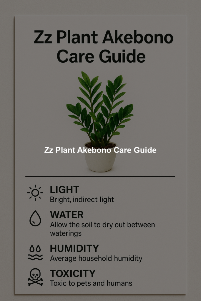 Zz Plant Akebono Care Guide